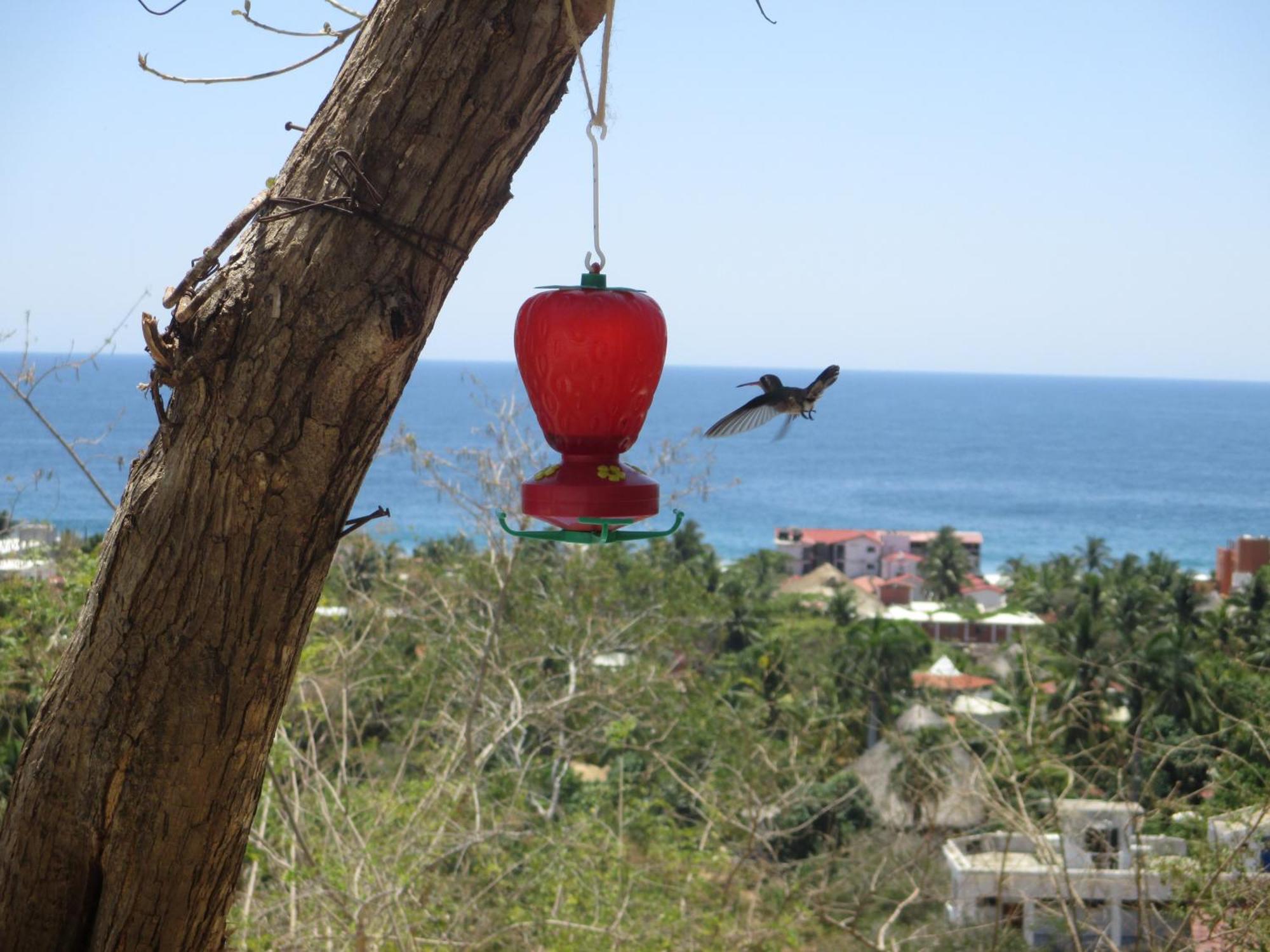 Bed and Breakfast Casa Biulu Zipolite Exterior foto