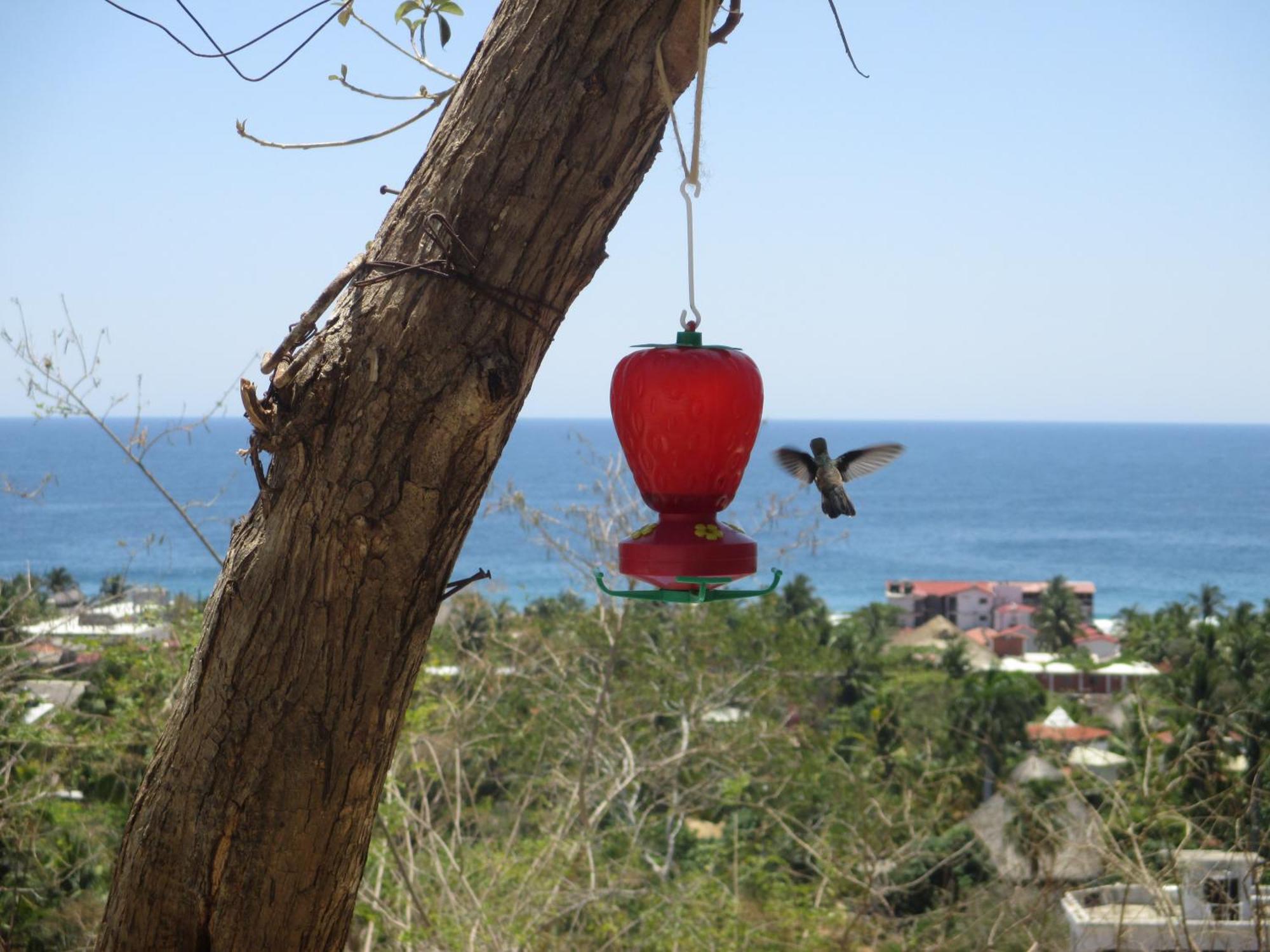 Bed and Breakfast Casa Biulu Zipolite Exterior foto